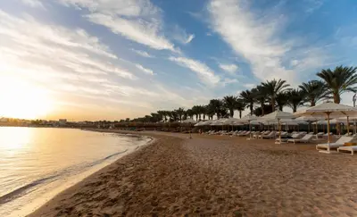 a beach with umbrellas and chairs and the ocean at Sunrise Tucana Resort Grand Select in Hurghada