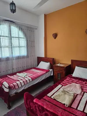a bedroom with two beds and a window at Egypt Villa Garden in Luxor