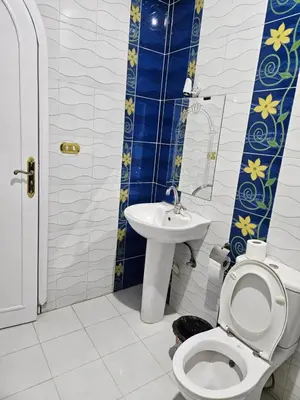 a bathroom with a toilet and a sink at Egypt Villa Garden in Luxor