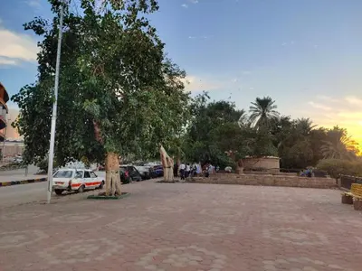 a parking lot with a tree and parked cars at Nefertari Guest House in Aswan