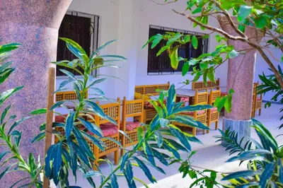 a room with tables and chairs and plants at Rose Guest House \u60a8\u5728\u76e7\u514b\u7d22\u7684\u7b2c\u4e8c\u500b\u5bb6 in Luxor