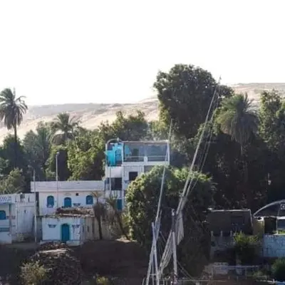 a building in the middle of a field with palm trees at Nubia castle in Aswan