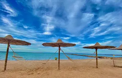 a group of straw umbrellas on a beach at Tertels beach resort hurghada F 2-6 in Hurghada