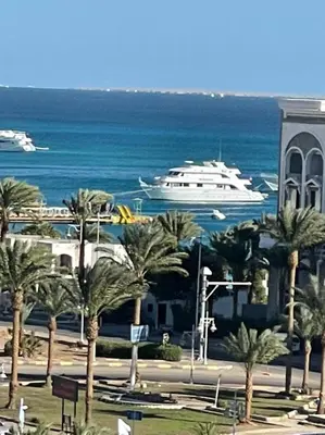 a cruise ship in the water with palm trees at AlDAU Heights Modern Brand New Apartments in Hurghada