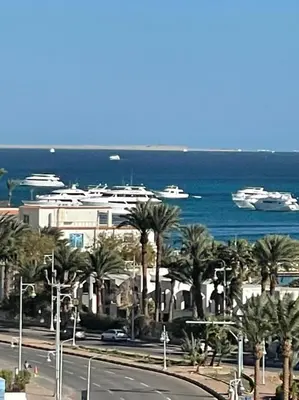 a street with palm trees and boats in the water at AlDAU Heights Modern Brand New Apartments in Hurghada