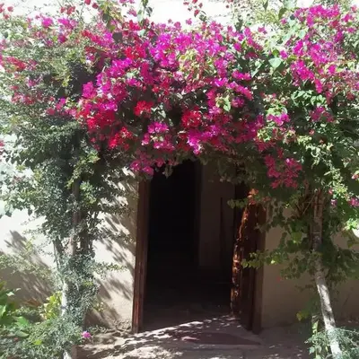 Nour El Gourna