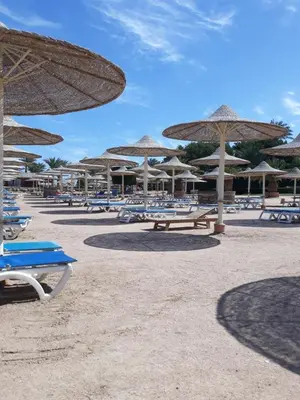 a group of chairs and umbrellas on a beach at Апартаменты в Хургаде, Stella Makadi in Hurghada