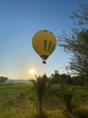 a yellow hot air balloon flying over a field at Nour El Balad in Luxor