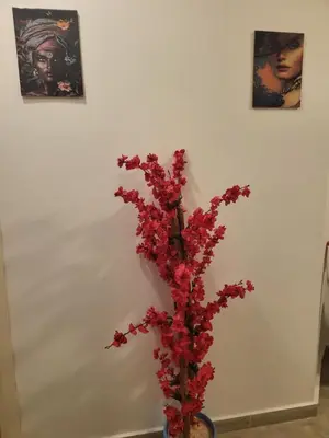 a vase filled with red flowers in front of a wall at Aqua Palms Resort by Ivan C408 in Hurghada
