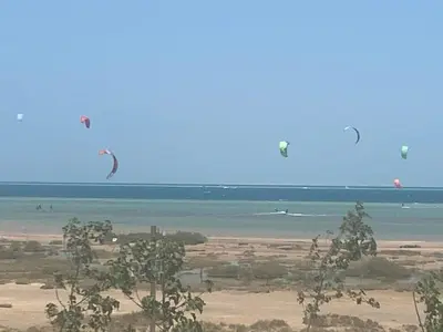 a group of kites flying in the sky over the ocean at Mangroovy Gouna 1 BR apartment in Hurghada