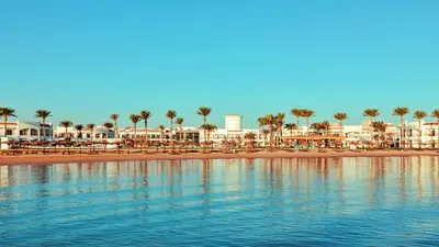 a beach with chairs and palm trees and a resort at Sunrise Alma Bay Resort in Hurghada