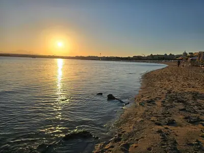 two ducks swimming in the water on a beach at sunset at Sahl Hasheesh, El Andalous by All View apartements in Hurghada