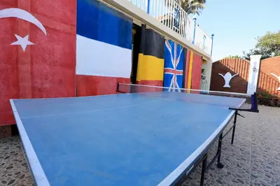 a blue ping pong table in front of a flag at Blue Nile House in Luxor