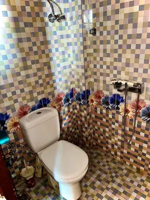a bathroom with a white toilet and a shower at Nubian Dreams Guest House in Aswan