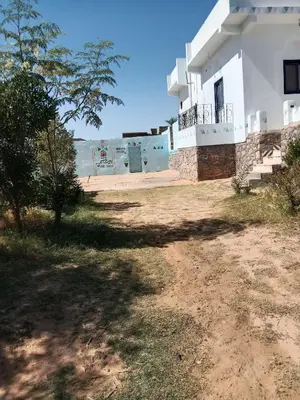 a house with a tree in front of it at بيت شمس in Aswan