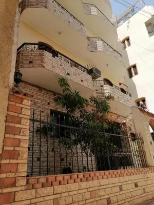 Gallery image of Winter Guest House \u60a8\u5728\u76e7\u514b\u7d22\u7684\u7b2c\u4e8c\u500b\u5bb6 in Luxor