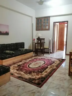 Gallery image of Winter Guest House \u60a8\u5728\u76e7\u514b\u7d22\u7684\u7b2c\u4e8c\u500b\u5bb6 in Luxor