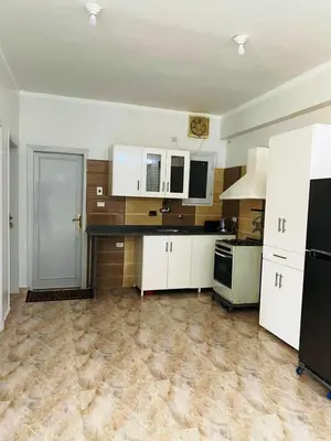 a large kitchen with white cabinets and black appliances at Temple House Luxor in Luxor