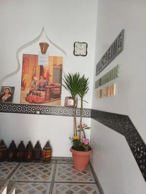 a stairway with a potted plant and posters on the wall at Sunny sea in Quseir