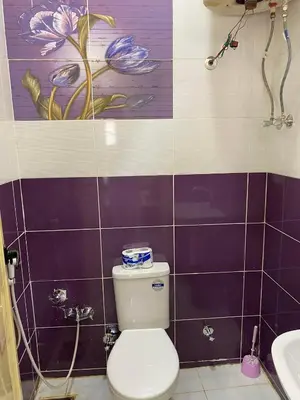 a bathroom with a toilet and a painting on the wall at Sunrise shiny Nubian Guest House in Aswan