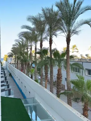 a row of palm trees on the balcony of a building at Scandic Rezort in Hurghada