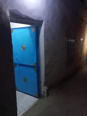 a blue door with a spider on it in a tunnel at Rose house in Aswan