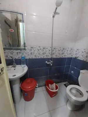 a bathroom with a toilet and a sink at Aswan City Center Guest House in Aswan