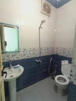 a bathroom with a shower and a toilet and a sink at Aswan City Center Guest House in Aswan