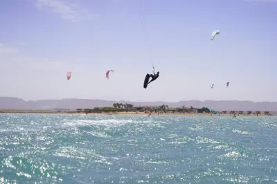 a group of birds flying over a body of water at Mangroovy - 1BR GF +2 wall beds Garden & Pool view in Hurghada