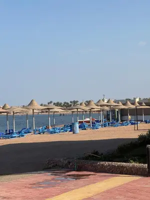 a beach with umbrellas and chairs and the ocean at Schöne Ferienwohnung in Cecelia Resort, am Pool und wunderschönen Strand für Familien und Paare in Hurghada