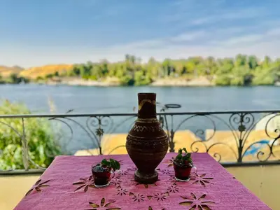 a vase sitting on a table with two plants on it at Nubian Bride guest house in Aswan