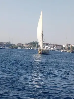 a boat with a white sail in the water at Nile Felucca Adventure in Aswan