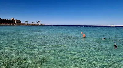 a group of people swimming in the ocean at Orchidia in Hurghada