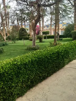 a hedge in a park with trees and a building at A two-room chalet in the village of Lale Land, Mirage Bay, Ecopark in Hurghada