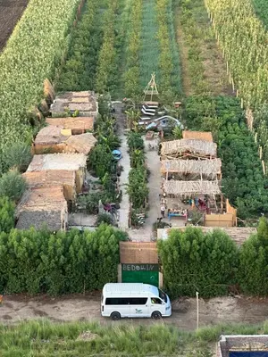a white bus parked in front of a field at Bedouin Lodge Luxor in Luxor