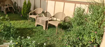 a group of chairs and a table in a garden at Moon fourteen in Luxor