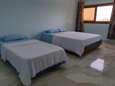 two beds sitting in a room with a window at Nile Roof Hotel& Restaurant in Luxor