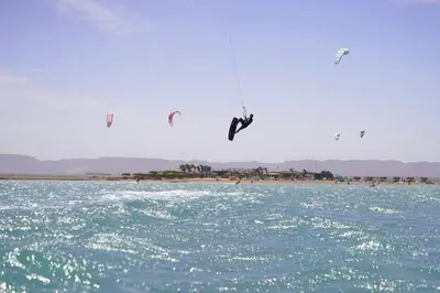 a group of birds flying over a body of water at Mangroovy - 2BR La Blanca Pool View in Hurghada