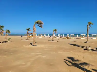 a beach with palm trees and chairs and the ocean at Mangroovy Comfy 2 Bedroom in Hurghada