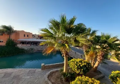two palm trees next to a pool of water at Two Bedrooms at Kafr El-Gouna N14 in Hurghada