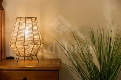 a lamp sitting on a table next to a plant at Ladybird - Azzurra Beauty in Hurghada