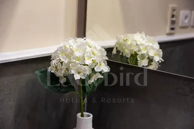a white vase with white flowers in front of a counter at Ladybird - Azzurra Beauty in Hurghada