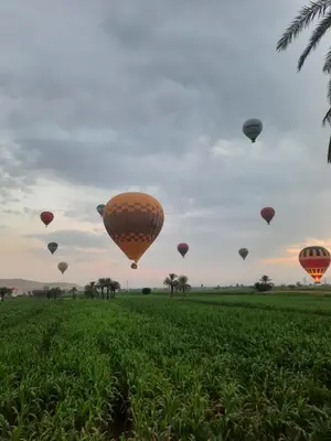 a group of hot air balloons flying over a field at The royal flat for rent in Al Qurnah
