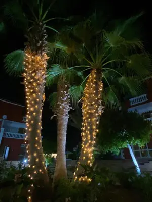 two palm trees are decorated with christmas lights at Hurghada- Magawish Studio 3 in Hurghada