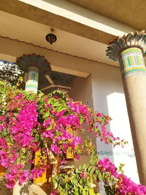 a bunch of flowers hanging off the side of a building at Gabawy Garden, Privatzimmer mit zwei Einzelbetten in Luxor