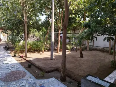 a group of trees in a courtyard with a building at Gabawy Garden, Privatzimmer mit zwei Einzelbetten in Luxor