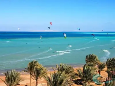 a group of people kite surfing in the ocean at Palma Resort in Hurghada